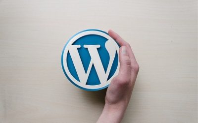 Backing  Up Your WordPress Website and Why it Matters